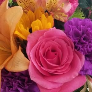 Meet your Posher, Millie